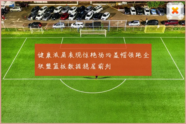 健康浓眉表现惊艳场均盖帽领跑全联盟篮板数据稳居前列