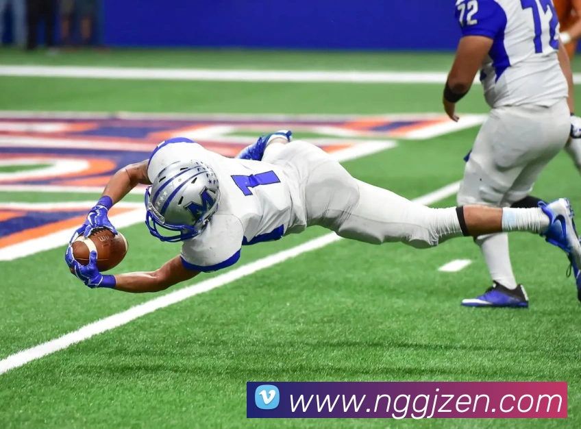 南宫国际平台生态图